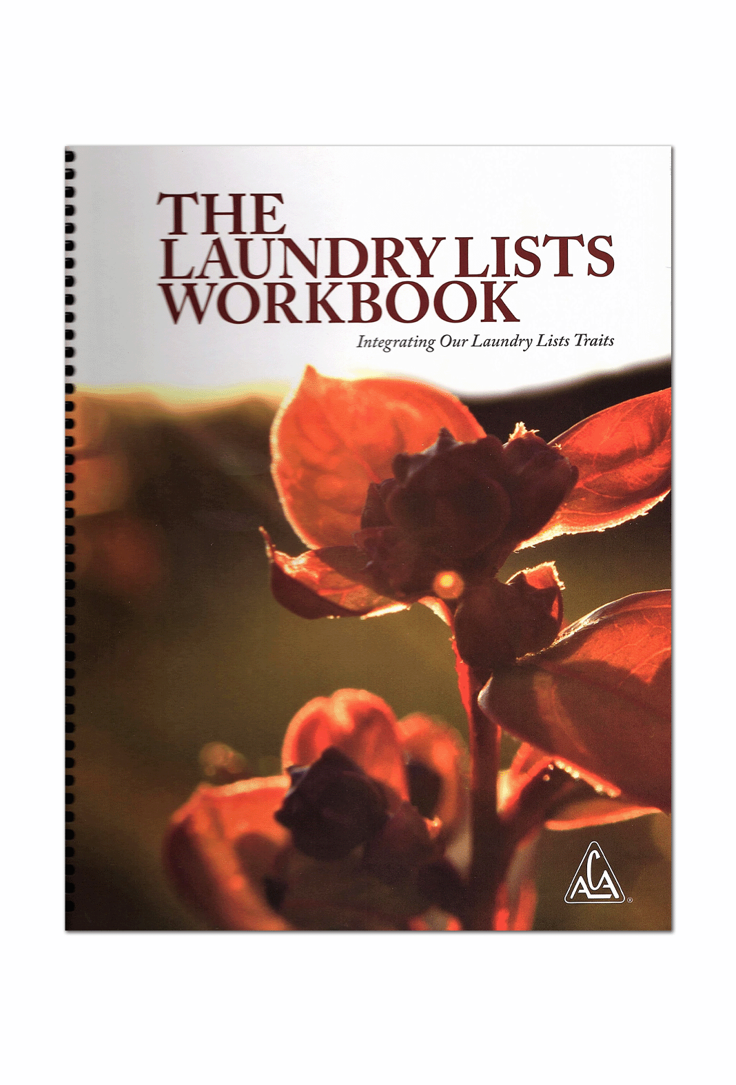 The Laundry Lists Workbook The Recovery Store